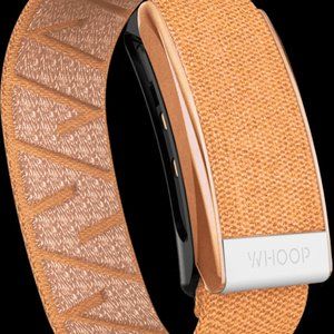 NWT - Whoop Band